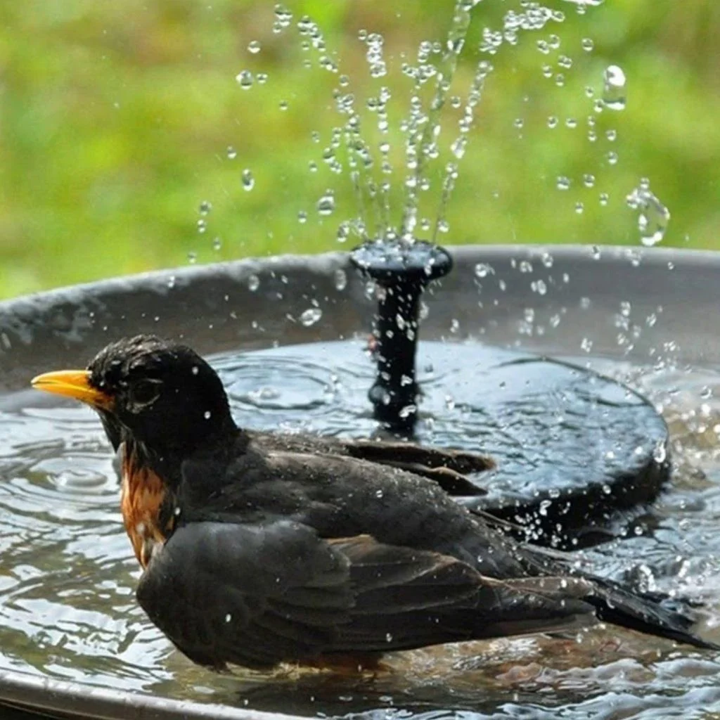 Solar Garden Bird Fountain