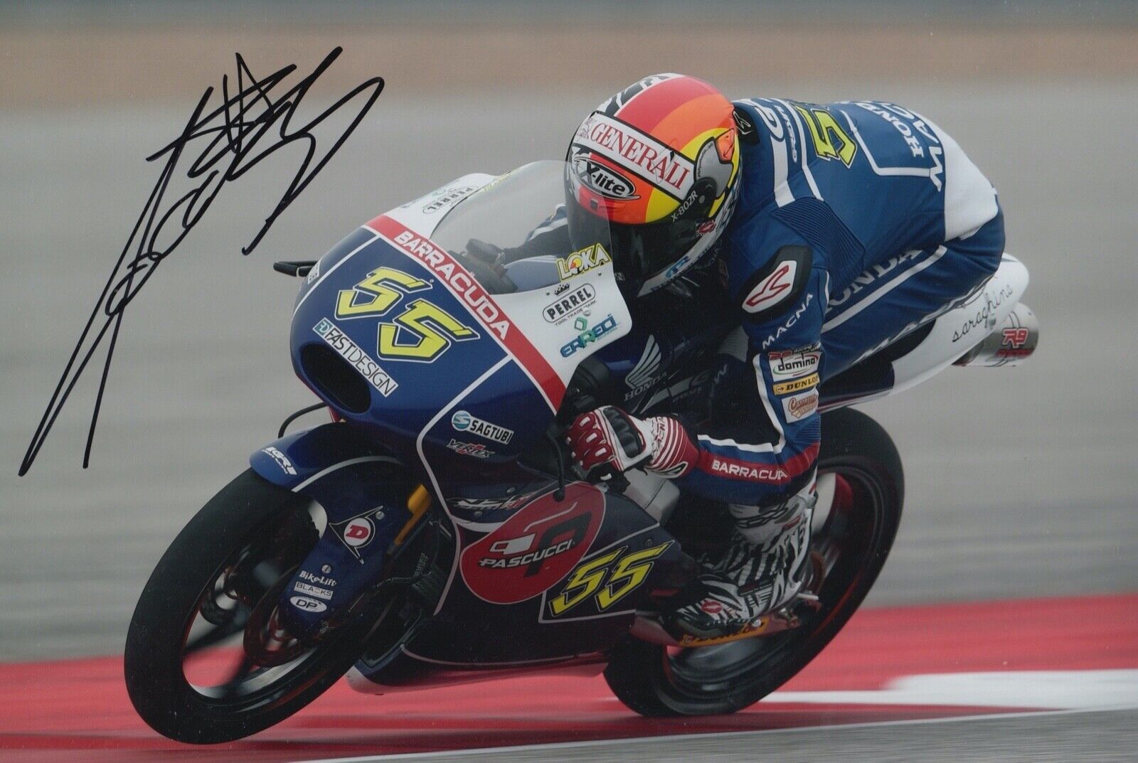 Andrea Locatelli Hand Signed 12x8 Photo Poster painting MotoGP Autograph Gresini Honda Moto3 2