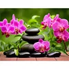 Diamond Painting -DIY Round Drill Phalaenopsis Zen Stone