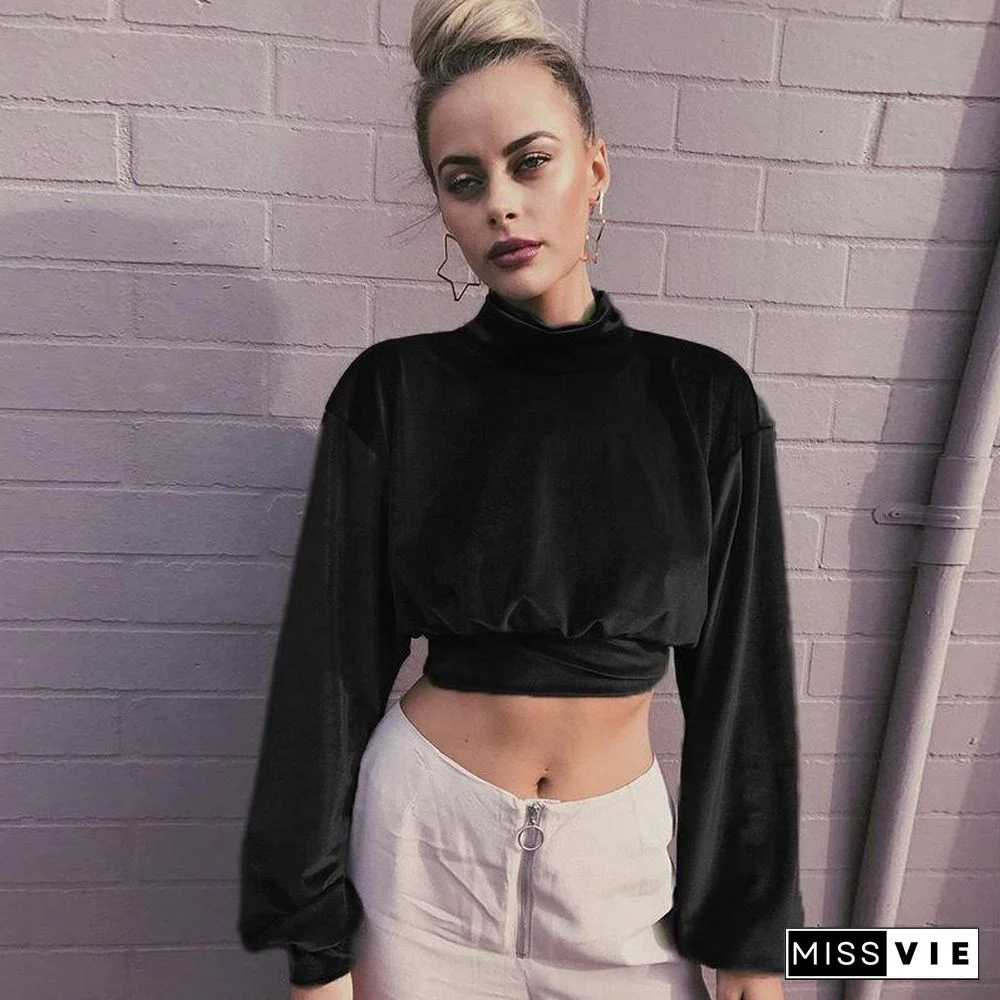 High Neck Midriff Baring Velvet Long Sleeve Top