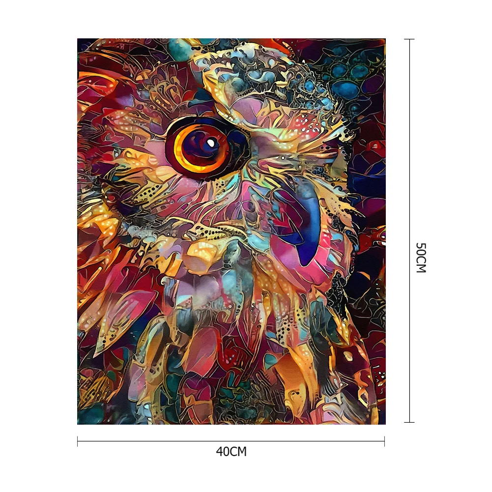 Owl - Paint By Number(40*50cm)
