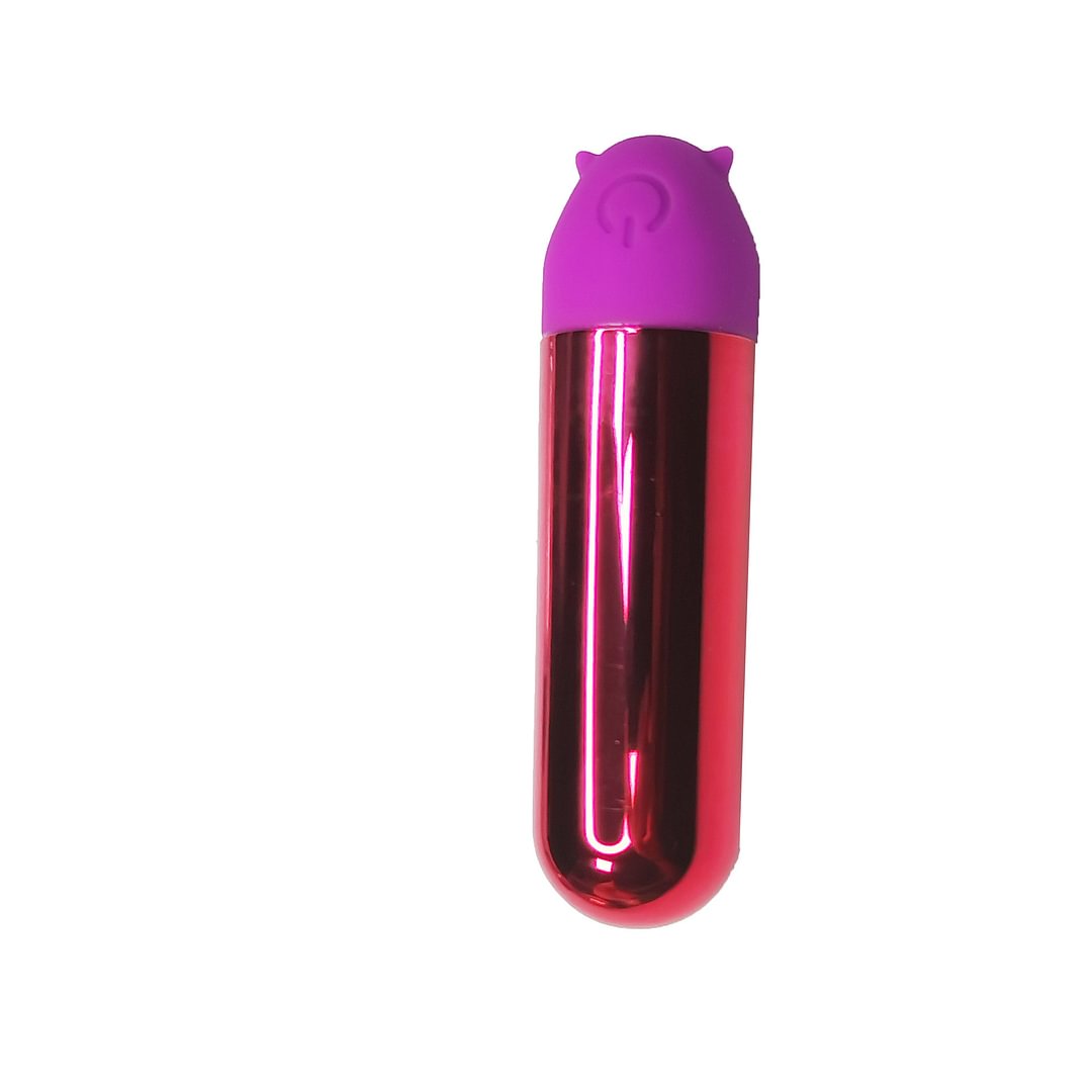 Wireless Mini Charging Wearing Vibrating Female Adult Sex Toys 