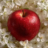 Red Apple and White Flowers - Diamond Painting