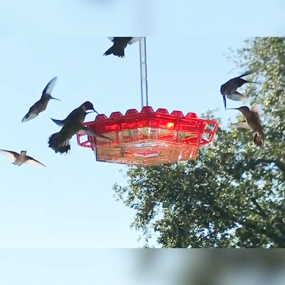 Hummingbird Feeder Outdoor Hanging Six Sides Hooked Bird Feeder