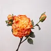 14cm Large Burn Edge Peony Artificial Flower
