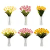 Twinkling Tree Tulips