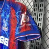 2024/2025 Crystal Palace Home Football Shirt 1:1 Thai Quality love fball