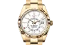 Rolex 326938 Sky-Dweller Intense White - New