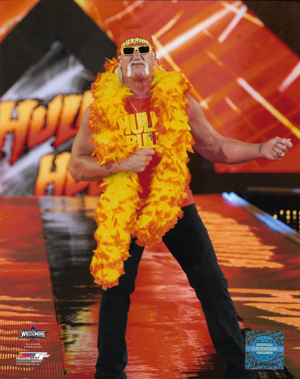 WWE HULK HOGAN OFFICIAL 8X10 AUTHENTIC LICENSED Photo Poster paintingFILE Photo Poster painting RARE 2