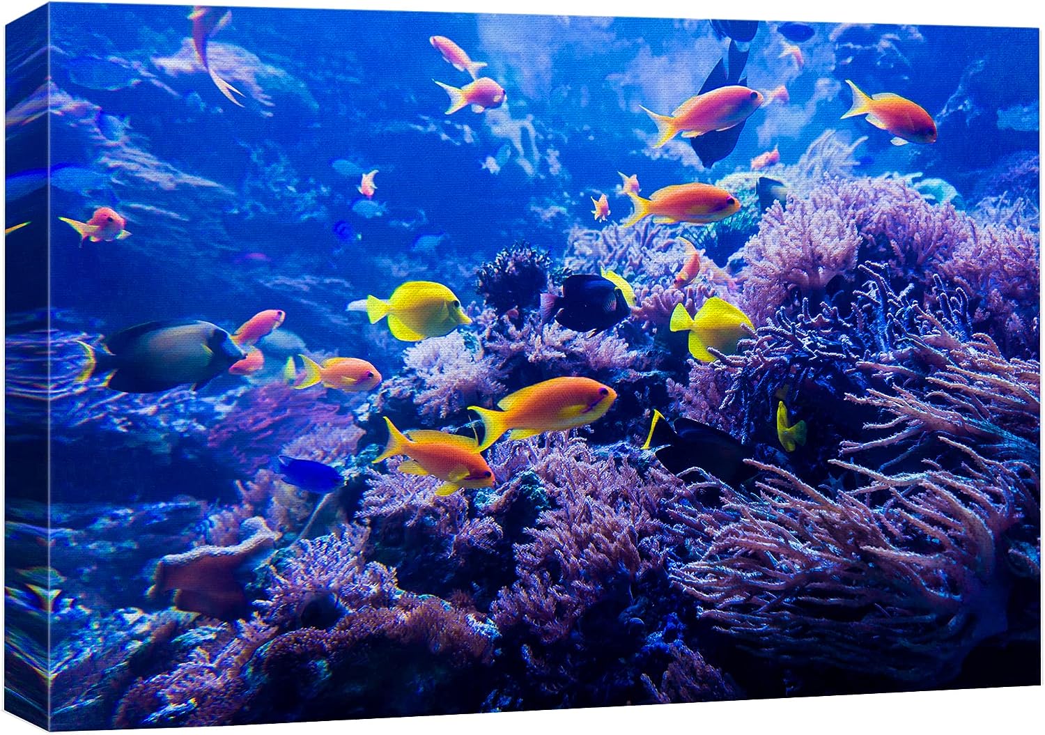 wall26 Canvas Print Wall Art Purple Blue Vibrant Anemone Coral Reef Fish Nature Animals Photography Realism Rustic Scenic Landscape Wilderness Colorful for Living Room, Bedroom, Office - 16 inch x24 inch  16&#034; x 24&#034;