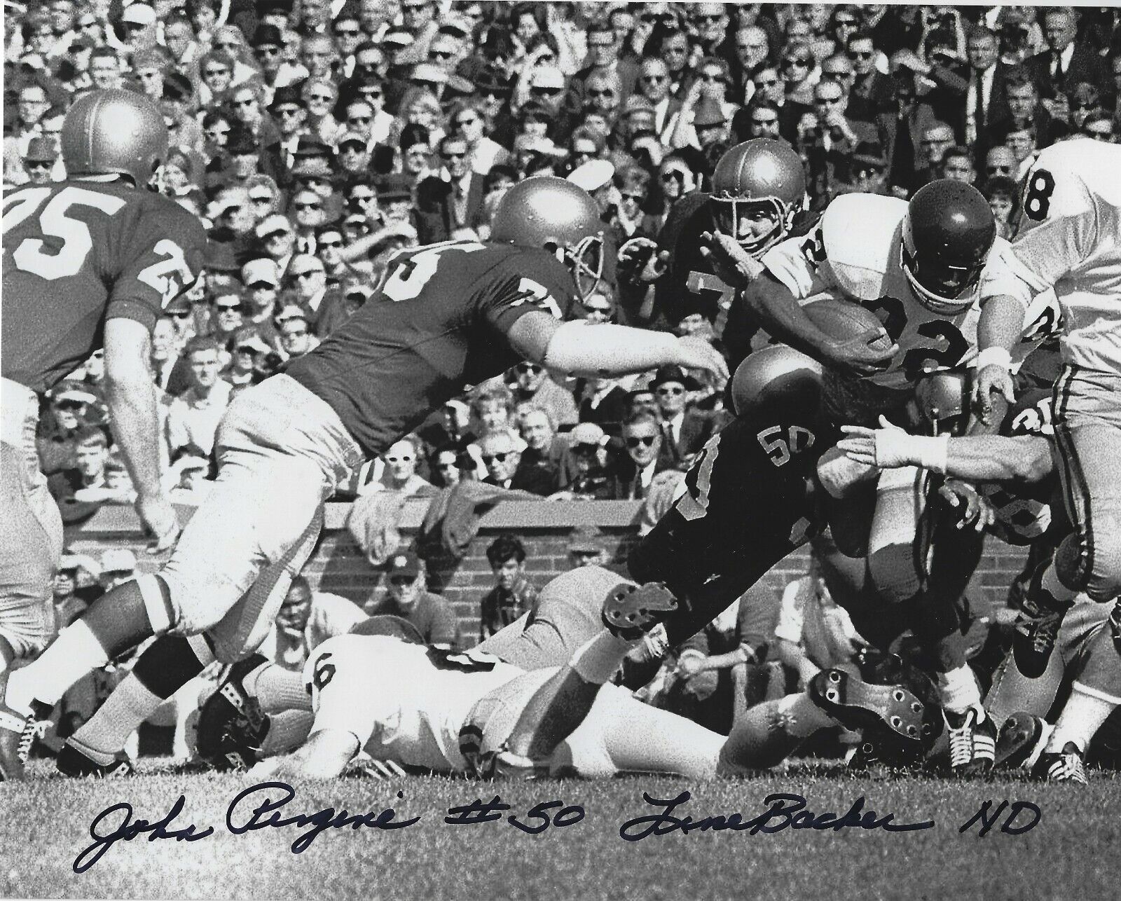 Autographed JOHN PERGINE Notre Dame 8x10 Photo Poster painting w/COA