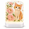 DIY Diamond Art LED Night Light &ndash; Light-Up Table Decor, Double-Sided Printed DIY Crystal Pearl Painting Decoration for Holiday & Gifts(Cat)