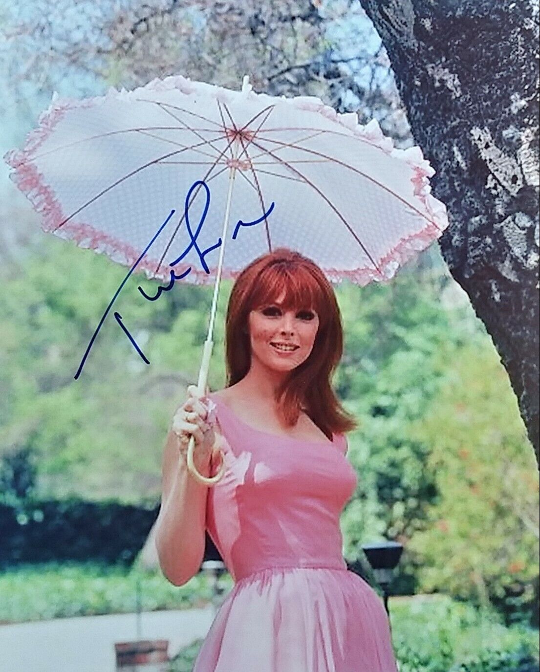 Tina Louise - Gilligan's Island - signed 8 x 10