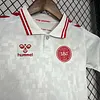 2024 Denmark Away Football Shirt Kids Size 1:1 Thai Quality