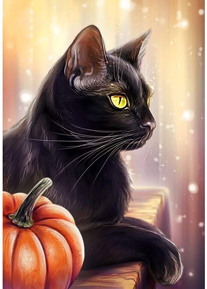 

Black Cat – Paint By Numbers - 40*50CM, 501 Original