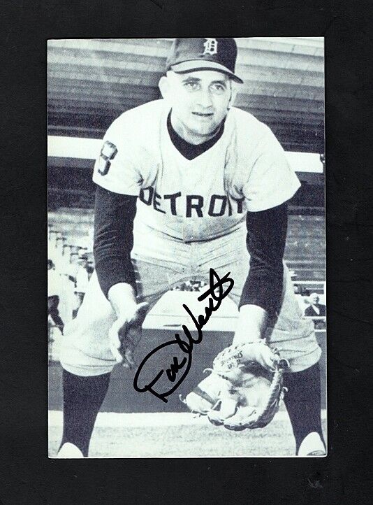 1963-70 DON WERT-DETROIT TIGERS AUTOGRAPHED ROOKIE PC SIZED Photo Poster painting