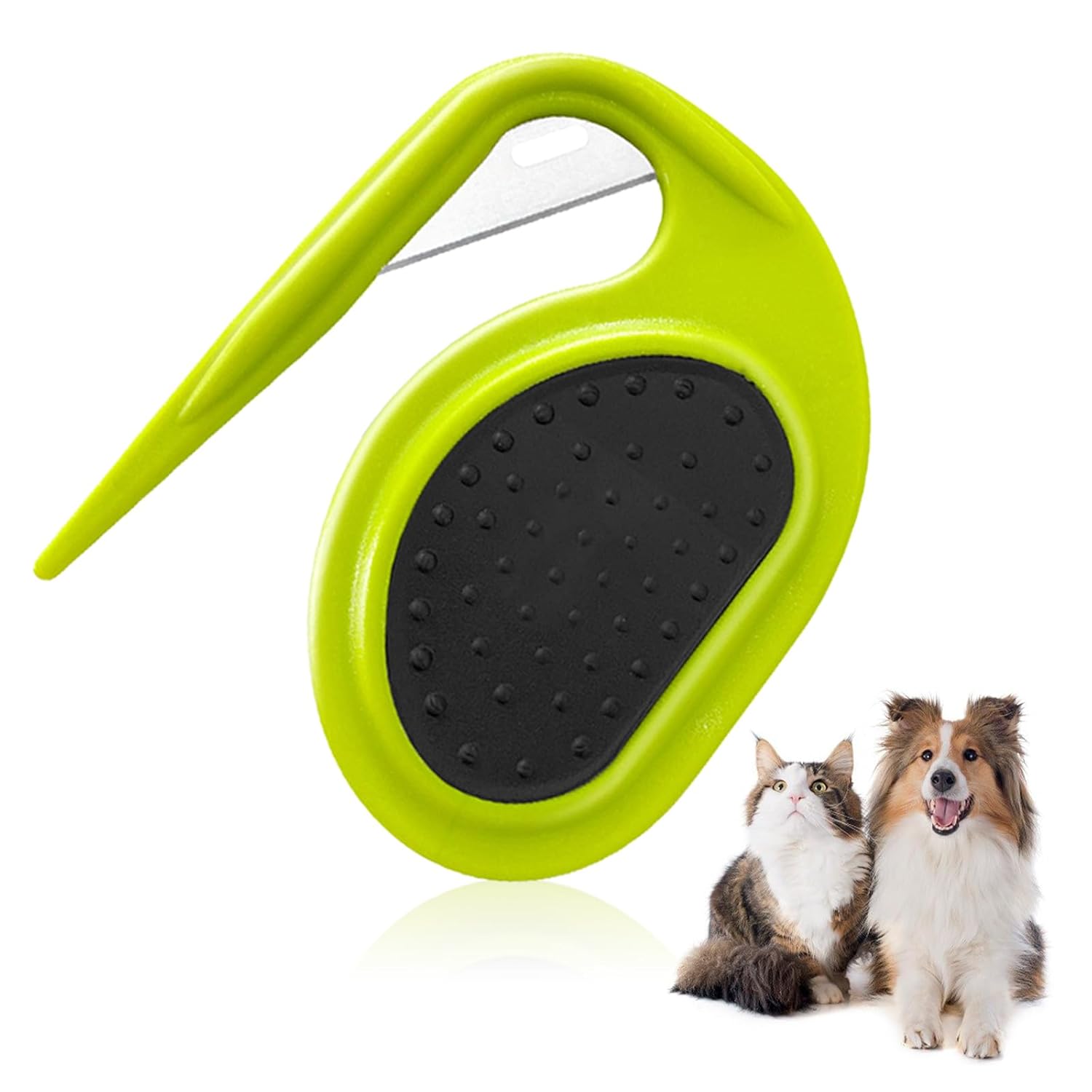 How to Safely Remove Mats from a Long-Haired Cat (Without Shaving)