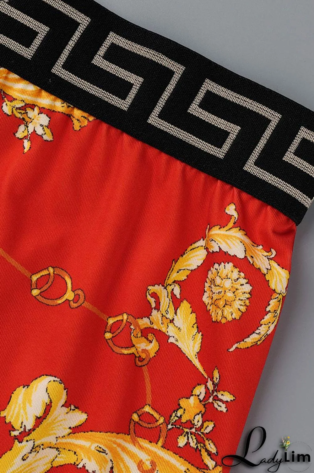 Red Fashion Casual Print Patchwork Backless O Neck Sleeveless Two Pieces