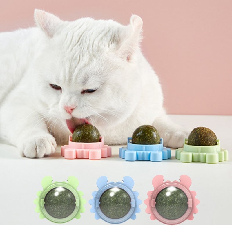 Musedesire™ Cat Mint Catnip Toys--buy 5 get 5 free