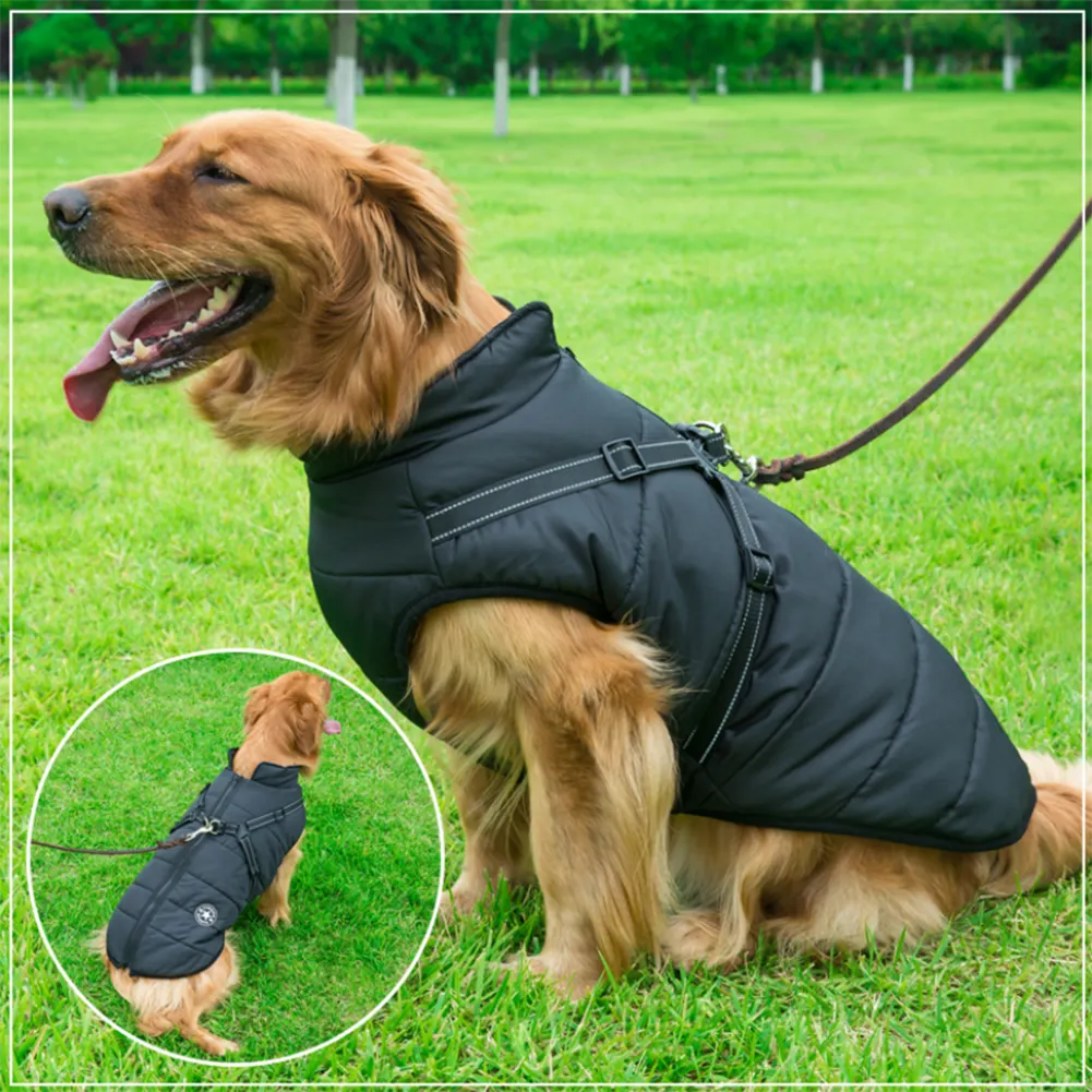 Pawbibi Sport- Waterproof Winter Jacket with Built-in Harness