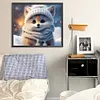 >SALE<5D DIY Full Round Drill Diamond Painting Winter Fox Kit Home Decoration 35x30cm