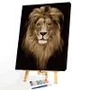 Painting By Numbers -Lion(40*50cm)