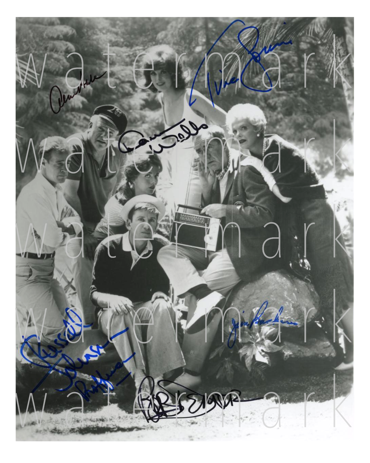 Gilligan's Island signed 8x10 print Photo Poster painting picture poster wall art autograph RP