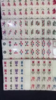 Lucky Rabbit mahjong set-160 tiles