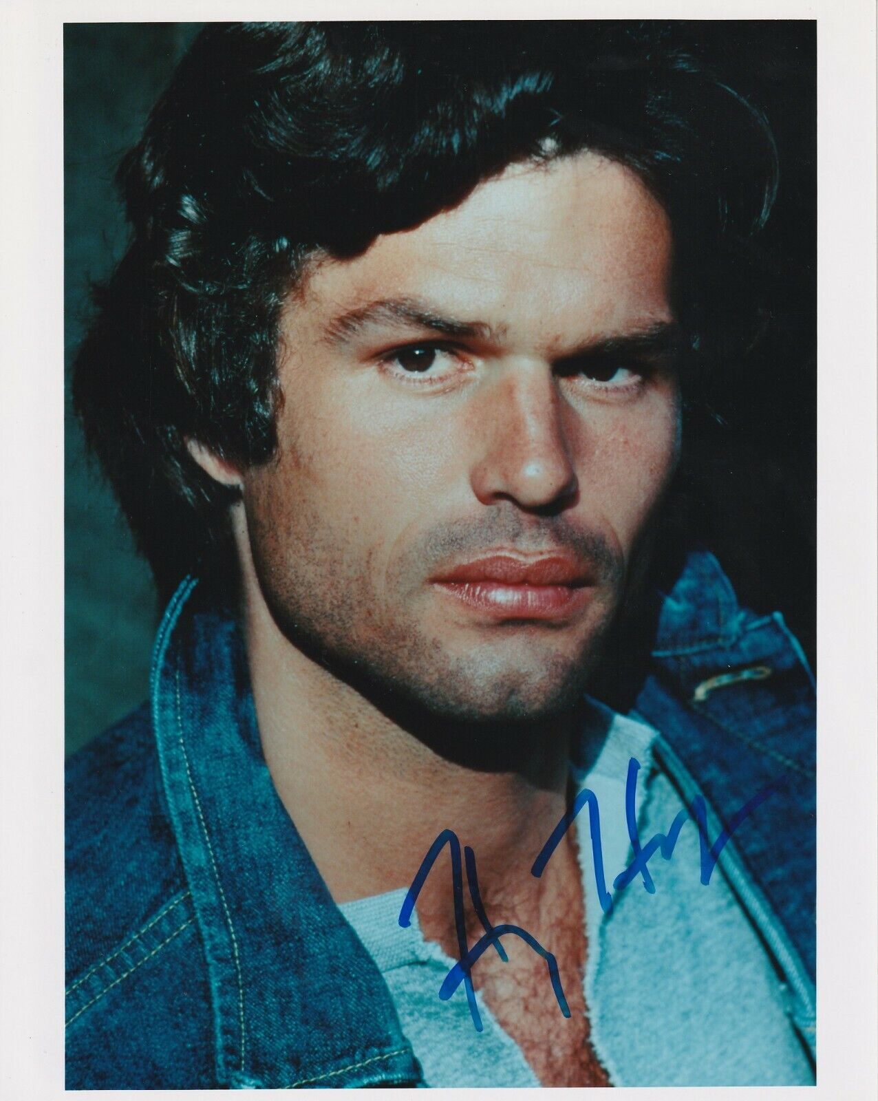 Harry Hamlin (Clash of the Titans