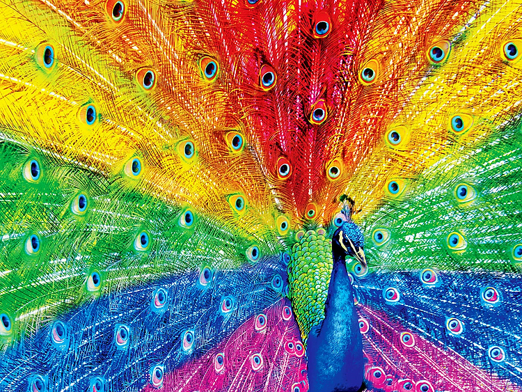  Colorful Peacock 40*55CM (Canvas)AB Round Drill Diamond Painting gbfke