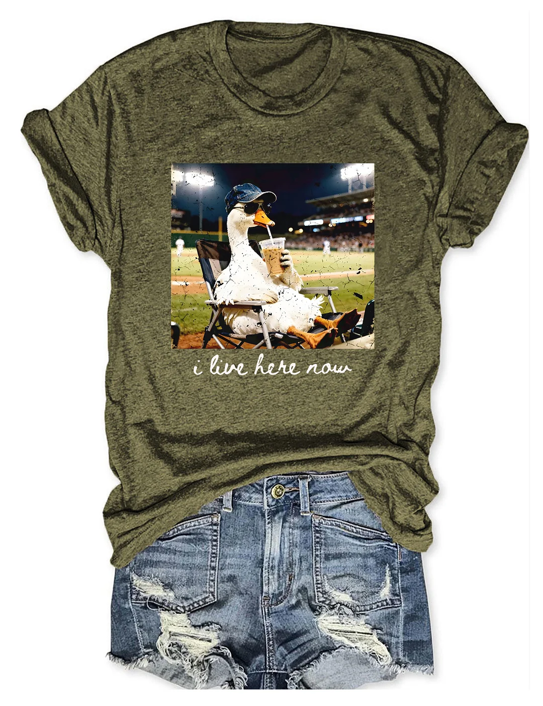 I live Here Now Goose Ballfield T-shirt