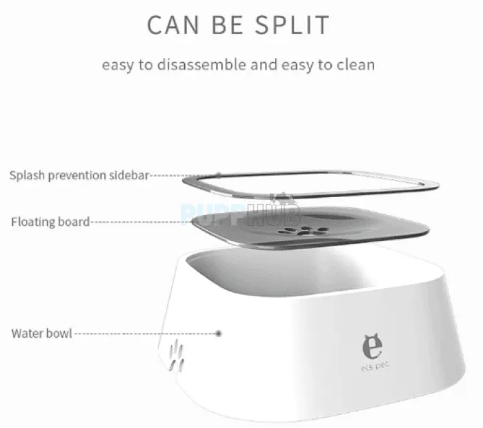 The Zero Splash