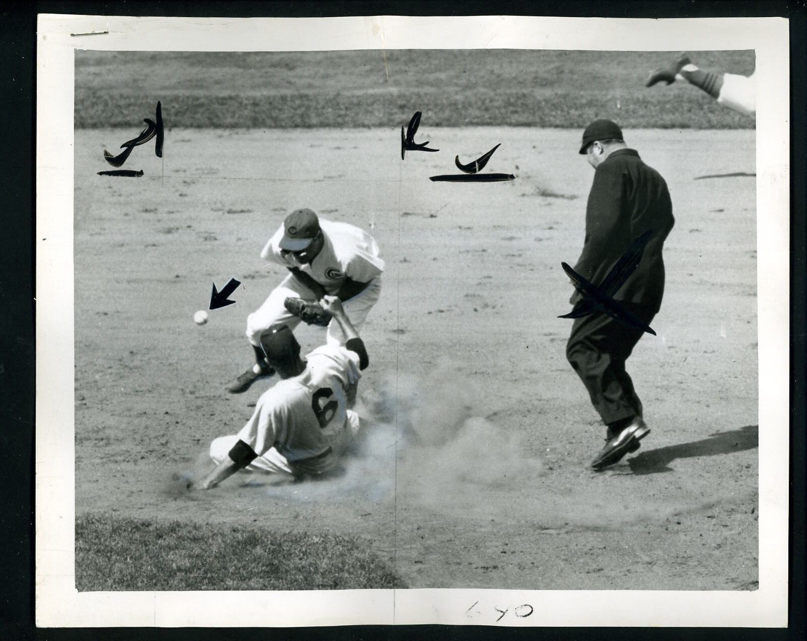 Willie Jones & Bob Ramazzotti 1952 Press Wire Photo Poster painting Phillies Chicago Cubs