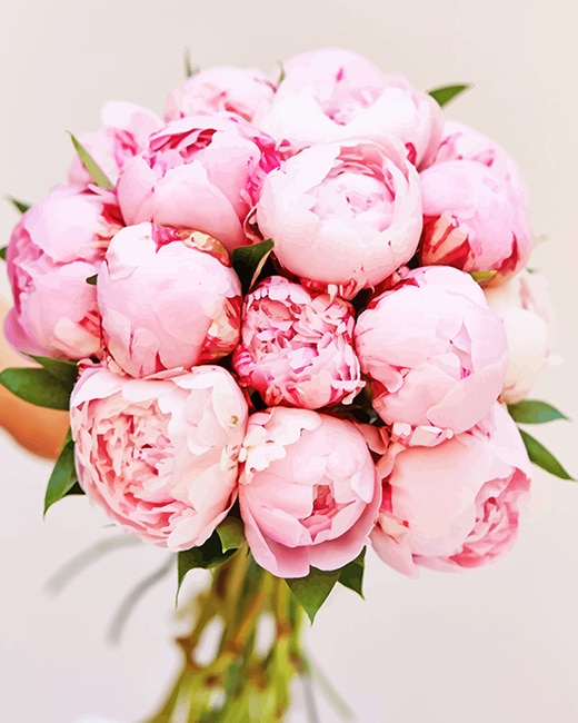 

Flower Bouquet Pink Peony – Paint By Numbers - 40*50CM, 501 Original