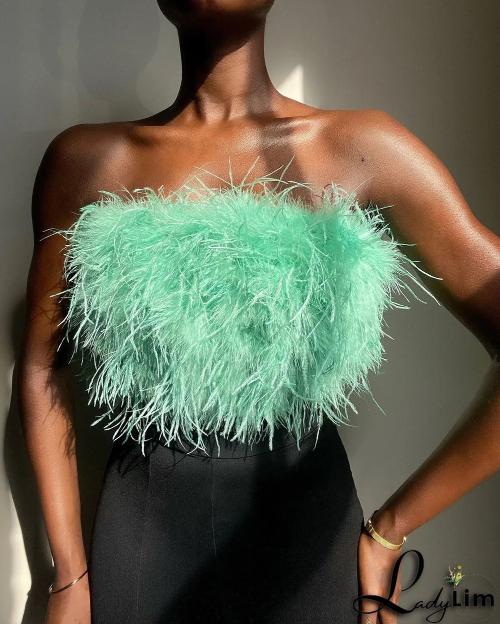 Brown Sexy Solid Patchwork Feathers Strapless Tops