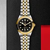 Tudor Black Bay 39 S&G