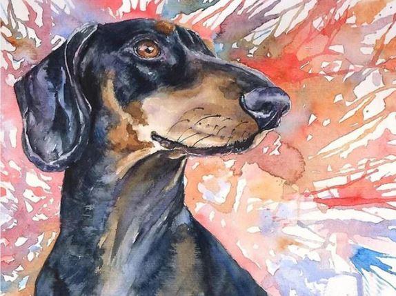 

Splatter Dachshund Dog – Paint By Numbers - 40*50CM, 501 Original
