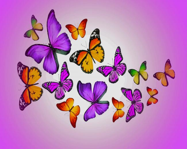 

Colorful Butterflies – Paint By Numbers - 40*50CM, 501 Original