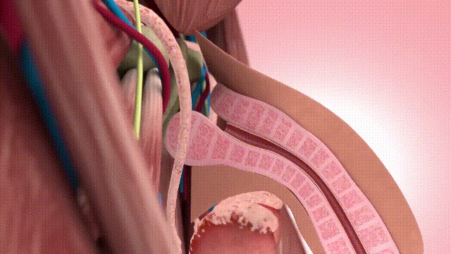 Kreator witryn jednostronicowych COD, QQ: 494906791 / WeChat: Cod_web