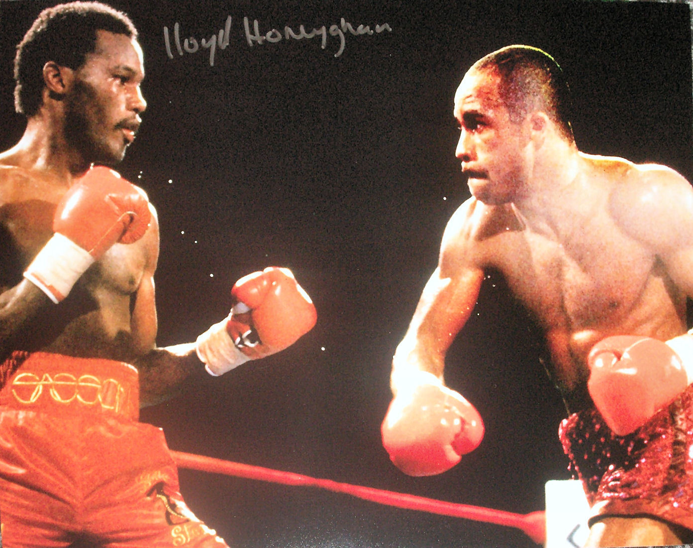 LLOYD HONEYGHAN SIGNED 16x12 BOXING WORLD CHAMPION 16x12 Photo Poster painting COA PROOF