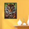 (Big Size)Tiger - 11CT Stamped Cross Stitch - 45*60cm - Animal