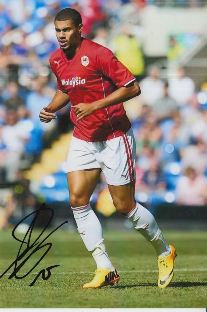 CARDIFF CITY HAND SIGNED RUDY GESTEDE 6X4 Photo Poster painting.