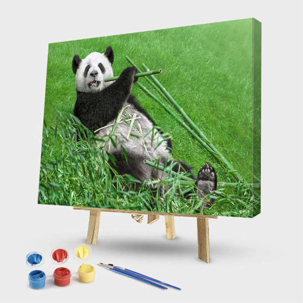 

50*40CM - Paint By Numbers - Panda, 501 Original