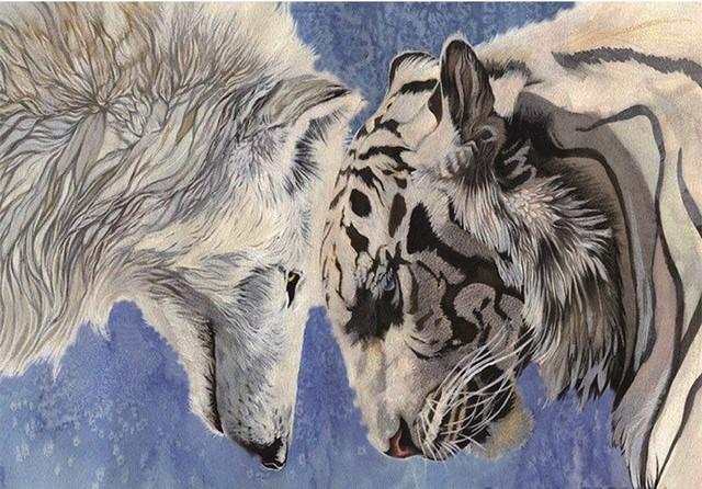 

Wolf Fighting a Tiger – Paint By Numbers - 40*50CM, 501 Original