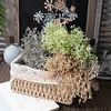 12 Stems Babysbreath Artificial Bean Greenery Bunch