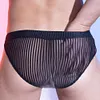 Men's Low-Rise Sexy Ultra-Thin Seamless Striped Briefs