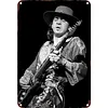 Stevie Ray Vaughan - Vintage Metal Signs - 20*30cm/30*40cm - Music