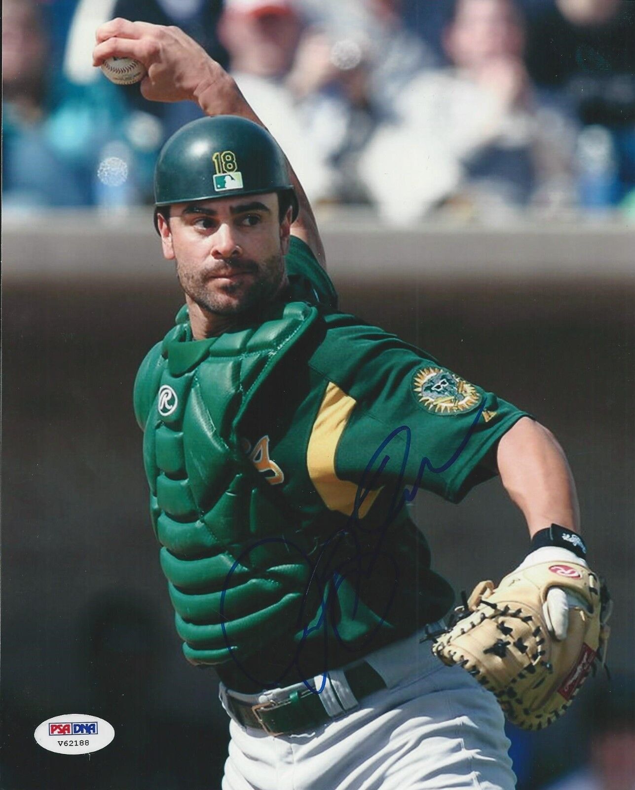 Jason Kendall Signed Oakland A's 8x10 Photo Poster painting- PSA/DNA #V62188