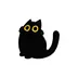 Curious Night Cat