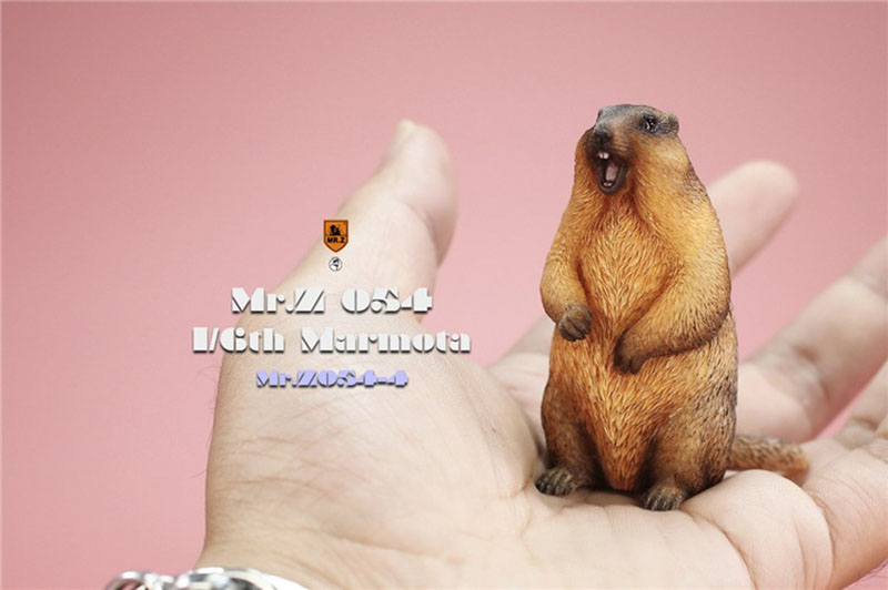 Mr.Z  MRZ054 1/6 Cavia Porcellus Marmota Model Cute Animal Statue Scene Home Decor Toy-aliexpress